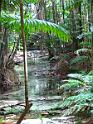 Fraser Island (8)